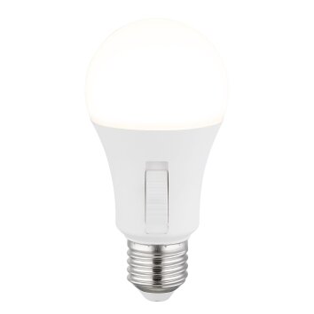 Lámparas Globo Lighting E27 9 Watt luz blanca día 830 Lumen