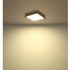 Lámparas Globo Lighting Fitzpatrick Plafones LED Negro, 1 luz