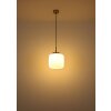 Lámparas Globo Lighting Kladora Lámparas suspendidas Níquel-mate, 1 luz