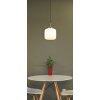 Lámparas Globo Lighting Kladora Lámparas suspendidas Níquel-mate, 1 luz