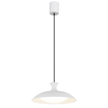 Lámparas Globo Lighting Rocha Lámparas suspendidas LED Blanca, 1 luz