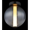Lámparas Globo Lighting Lacy Plafones LED Negro, 1 luz