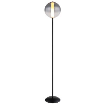 Lámparas Globo Lighting Lacy Lámpara de pie LED Negro, 1 luz