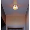 Lámparas Globo Lighting Higgins Plafones dorado, 1 luz