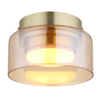 Lámparas Globo Lighting Higgins Plafones dorado, 1 luz