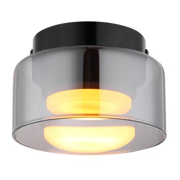 Lámparas Globo Lighting Higgins Plafones Negro, 1 luz