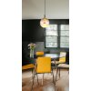 Lámparas Globo Lighting Severin Lámparas suspendidas LED Negro, 1 luz