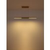 Lámparas Globo Lighting Cody Lámparas suspendidas LED dorado, 1 luz