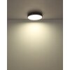 Lámparas Globo Lighting Doro Plafones LED Gris, Plata, 1 luz, Mando a distancia