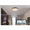 Lámparas Globo Lighting Doro Plafones LED Gris, Plata, 1 luz