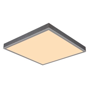 Lámparas Globo Lighting Doro Plafones LED Gris, Plata, 1 luz
