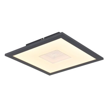 Lámparas Globo Lighting Doro Plafones LED Plata, Blanca, 1 luz
