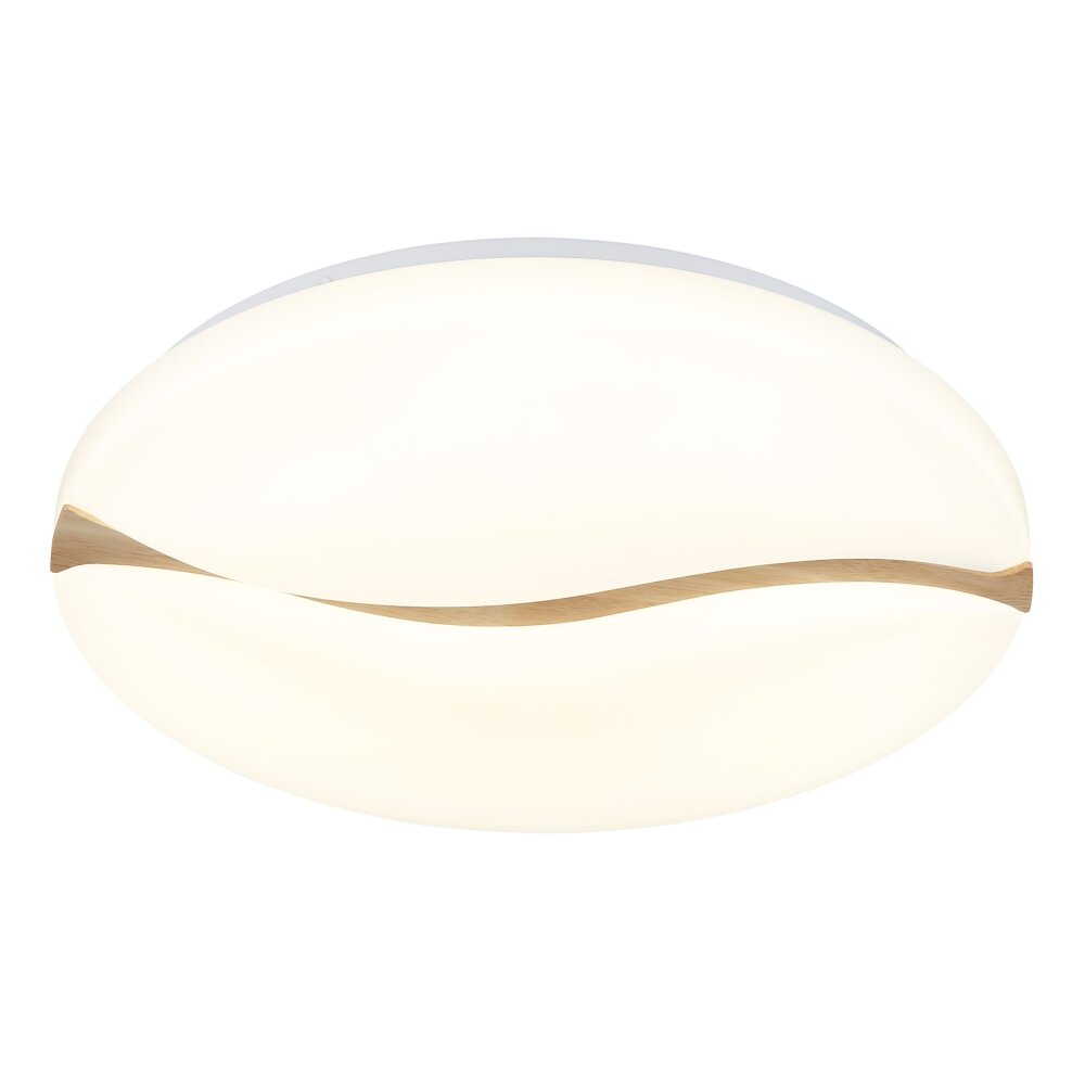 Lámparas Globo Lighting Leticia Plafones LED Blanca, 1 luz main product photo