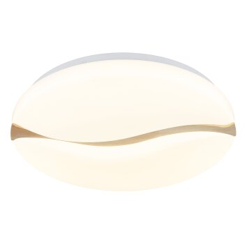 Lámparas Globo Lighting Leticia Plafones LED Blanca, 1 luz
