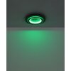 Lámparas Globo Lighting Jayden Plafones LED Negro, 1 luz, Mando a distancia, Cambia de color