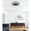 Lámparas Globo Lighting Jayden Plafones LED Negro, 1 luz, Mando a distancia, Cambia de color