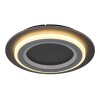 Lámparas Globo Lighting Jayden Plafones LED Negro, 1 luz, Mando a distancia, Cambia de color