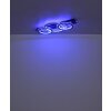 Lámparas Globo Lighting Jayden Plafones LED Gris, Negro, 1 luz, Mando a distancia, Cambia de color