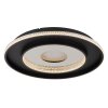 Lámparas Globo Lighting Marsh Plafones LED Negro, 1 luz, Mando a distancia