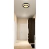 Lámparas Globo Lighting Jayden Plafones LED dorado, Negro, 1 luz