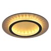 Lámparas Globo Lighting Jayden Plafones LED dorado, Negro, 1 luz