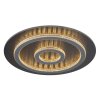 Lámparas Globo Lighting Jayden Plafones LED Antracita, Negro, 1 luz, Mando a distancia