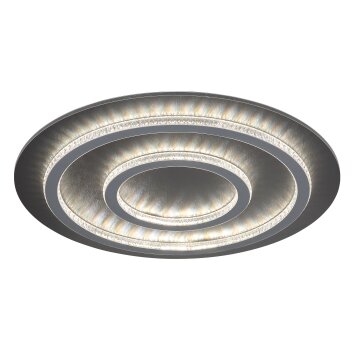 Lámparas Globo Lighting Jayden Plafones LED Antracita, Negro, 1 luz, Mando a distancia