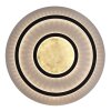 Lámparas Globo Lighting Jayden Plafones LED dorado, Negro, 1 luz, Mando a distancia