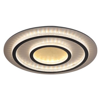 Lámparas Globo Lighting Jayden Plafones LED dorado, Negro, 1 luz, Mando a distancia