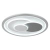 Lámparas Globo Lighting Ruiz Plafones LED Plata, Blanca, 1 luz