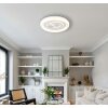 Lámparas Globo Lighting Ruiz Plafones LED Blanca, 1 luz