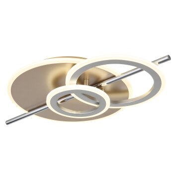 Lámparas Globo Lighting Norris Plafones LED champán, Cromo, 1 luz