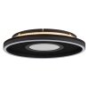 Lámparas Globo Lighting Emory Plafones LED Negro, 1 luz