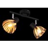 Lámparas Globo Lighting Zachery Plafones Negro, 2 luces