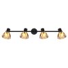 Lámparas Globo Lighting Zachery Plafones Negro, 4 luces