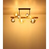 Lámparas Globo Lighting Riha Plafones marrón oscuro, Negro, 9 luces