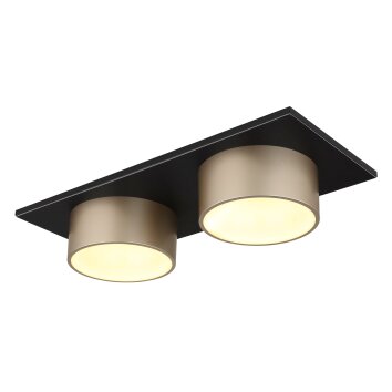 Lámparas Globo Lighting Raymond Plafones LED Antracita, Negro, 1 luz