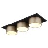 Lámparas Globo Lighting Raymond Plafones LED Antracita, Negro, 1 luz