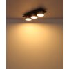 Lámparas Globo Lighting Raymond Plafones LED Antracita, Negro, 1 luz