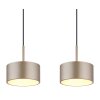 Lámparas Globo Lighting Raymond Lámparas suspendidas LED Antracita, Negro, 1 luz