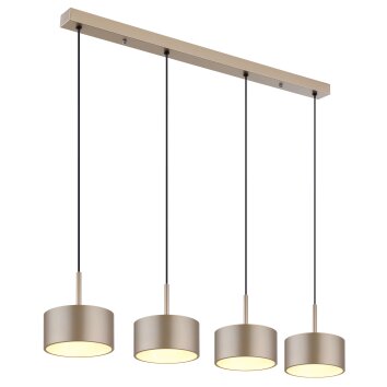 Lámparas Globo Lighting Raymond Lámparas suspendidas LED Antracita, Negro, 1 luz