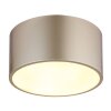 Lámparas Globo Lighting Raymond Plafones LED dorado, 1 luz
