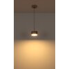 Lámparas Globo Lighting Raymond Lámparas suspendidas LED Antracita, Negro, 1 luz
