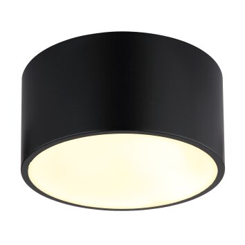 Lámparas Globo Lighting Raymond Plafones LED Blanca, 1 luz