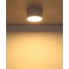 Lámparas Globo Lighting Raymond Plafones LED Blanca, 1 luz