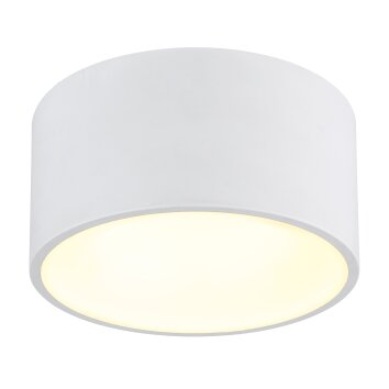 Lámparas Globo Lighting Raymond Plafones LED Blanca, 1 luz