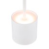 Lámparas Globo Lighting Dixon Lámparas de mesa LED Blanca, 1 luz