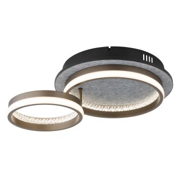 Lámparas Globo Lighting Della Plafones LED Negro, 1 luz