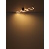 Lámparas Globo Lighting Dakari Plafones LED Crudo, Negro, 1 luz