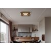 Lámparas Globo Lighting Woody Plafones LED Crudo, Negro, 1 luz